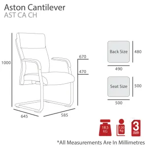 MA Aston PU Leather Upholstered Cantilever Armchair thumbnail 3