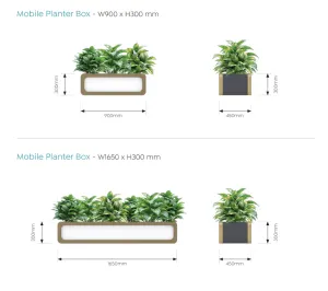 OL Rover Mobile Planter Box thumbnail 3