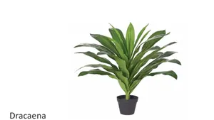 DD Blake 2 Door Mobile Planter Storage thumbnail 6