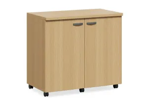 DD CC Plus Swing Door Mobile Utility Cupboard thumbnail 1