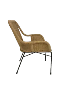 DA Palmview Rattan Armed Dining Chair thumbnail 3