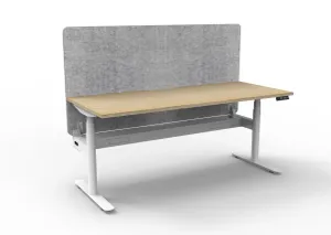 RL Halo Plus Motorized Height Adjustable Desk with Grey Eco Panel Screen thumbnail 3