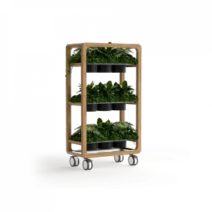 OL Rover 3 Tier Mobile Planter thumbnail 3