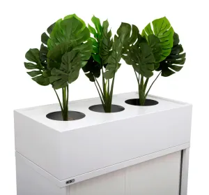 RL GO Metal Planter Box thumbnail 7