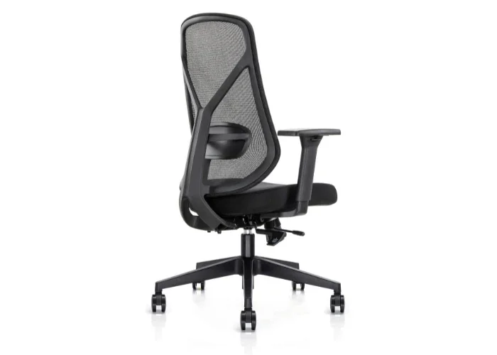 DD Zara Mesh Back Task Chair