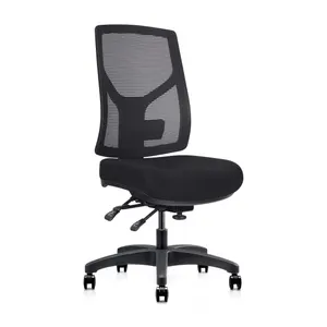 RL Gust Mesh Back Ergonomic Task Chair thumbnail 2