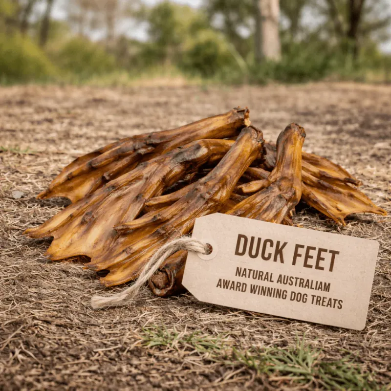 Duck Feet Dog Treats Australia – Natural Crunchy Dog Chews