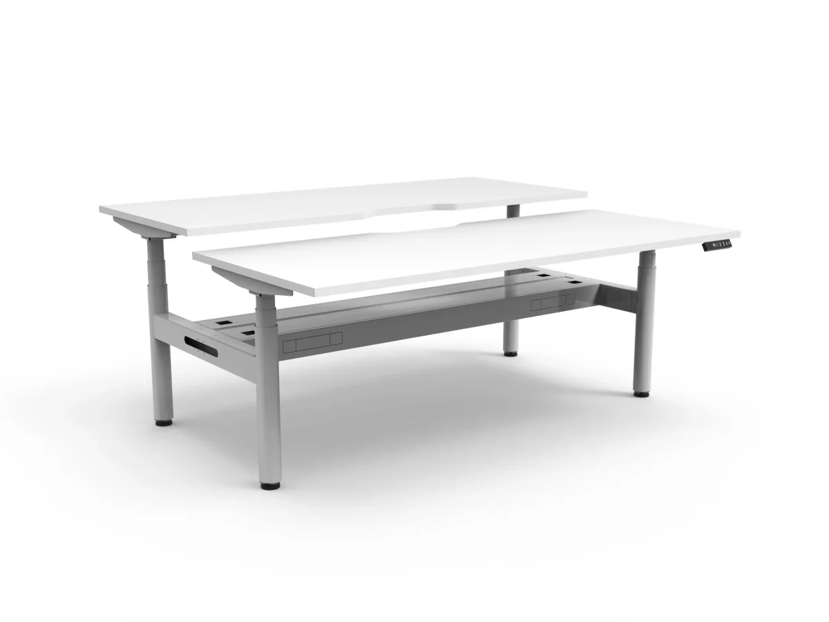 RL Halo Plus Motorized Height Adjustable Back to Back 2 User Desk