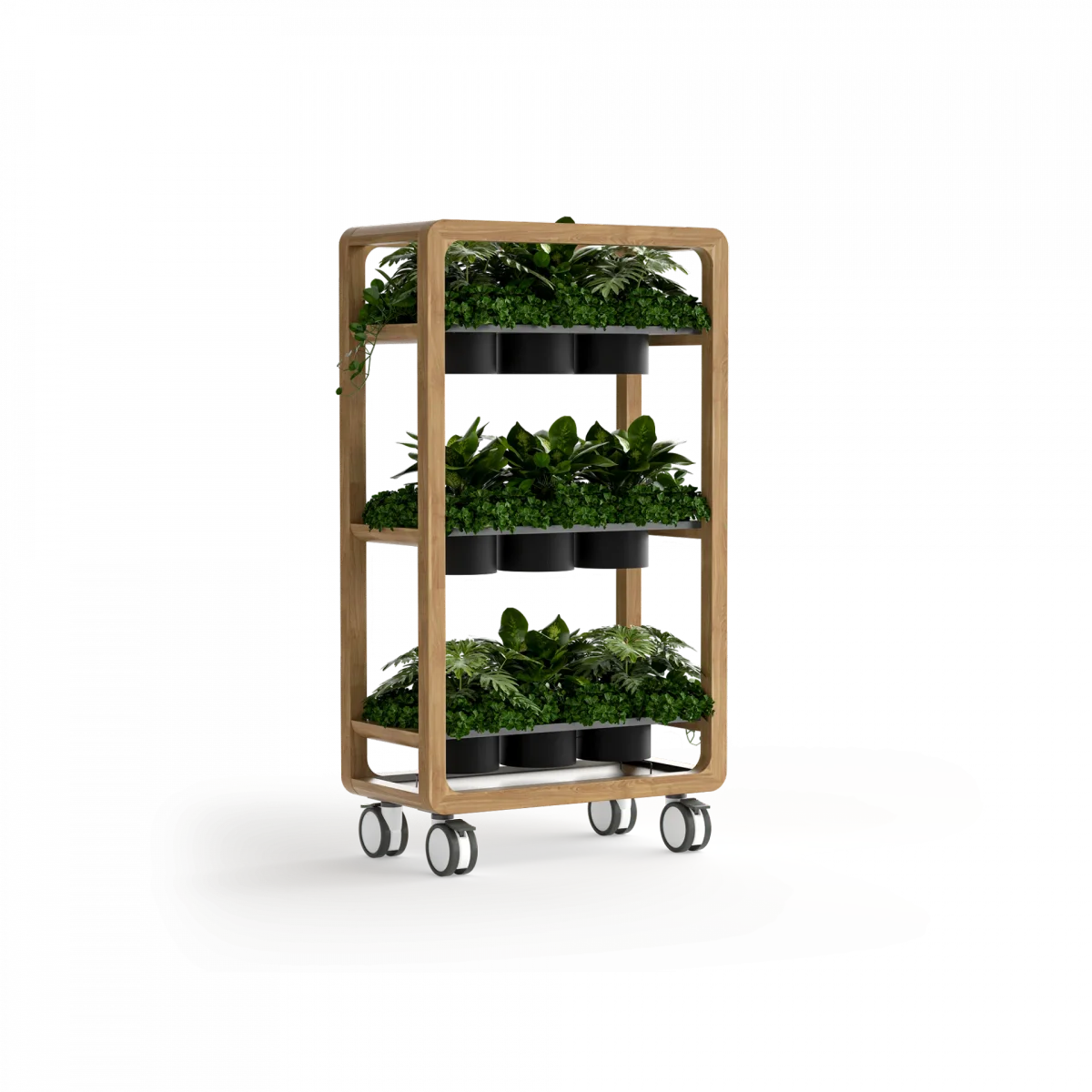 OL Rover 3 Tier Mobile Planter