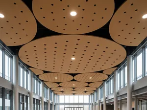 RL Acouline Halo Ripple Round Hanging Ceiling Panels thumbnail 1