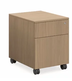 DD Geo Vista Executive Desk