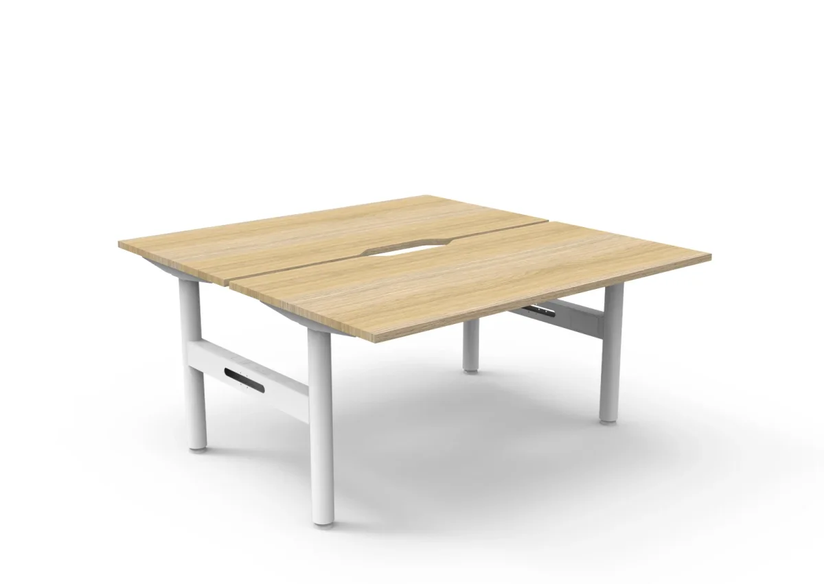 RL Halo Static Back to Back 2 User Desk