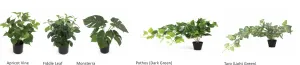 DD Oriel Curved End Welded 4 Door Planter Garden Storage thumbnail 6