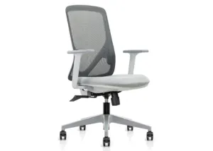 DD Zane Mesh Back Light Grey Task Chair thumbnail 1