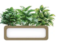 OL Rover Mobile Planter Box