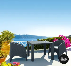 FL 3 Piece Vegas Hospitality Outdoor Extendable Dining Table with Aruba Tub Chair thumbnail 1