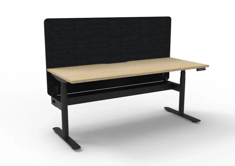 RL Halo Plus Motorized Height Adjustable Desk with Black Eco Panel Screen