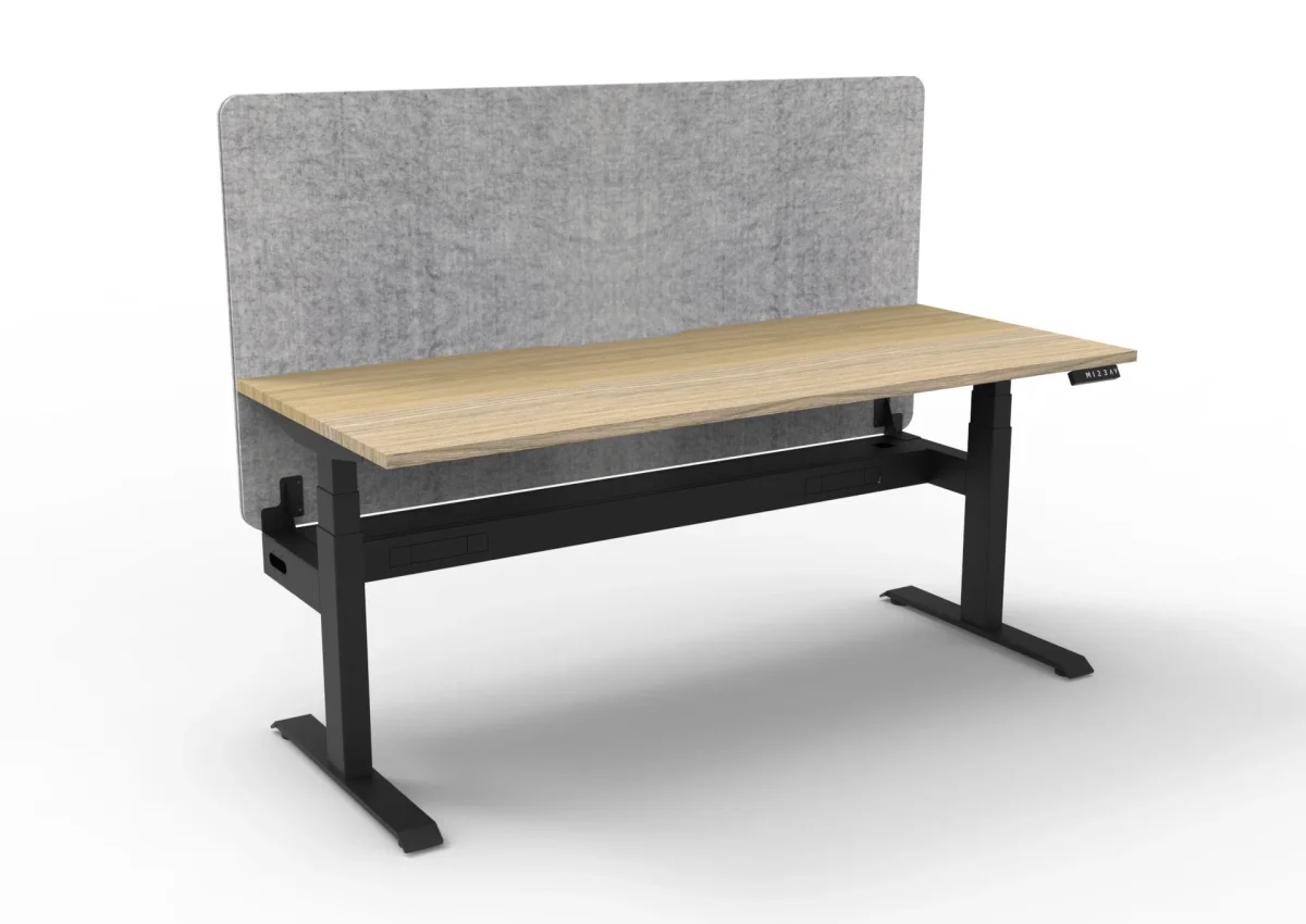 RL Boost Plus Motorized Height Adjustable Workstation with Grey Eco Panel Screen