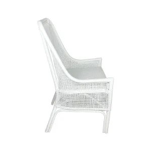 CR Albany Natural Rattan Dining Armchair thumbnail 10