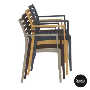 FL 3 Piece Outdoor Poolside Setting with Artemis Armchair thumbnail 9
