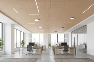 RL Acouline V Groove Ascend Span Rectangular Hanging Ceiling Panels thumbnail 4