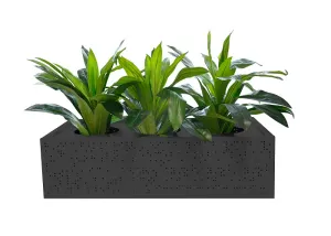 DD Lunar Metal Planter Box thumbnail 1