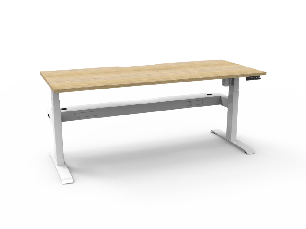 RL Boost Light Motorized Height Adjustable Desk