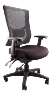 MR Madrid Mesh Back Task Chair with Lumber Support thumbnail 1