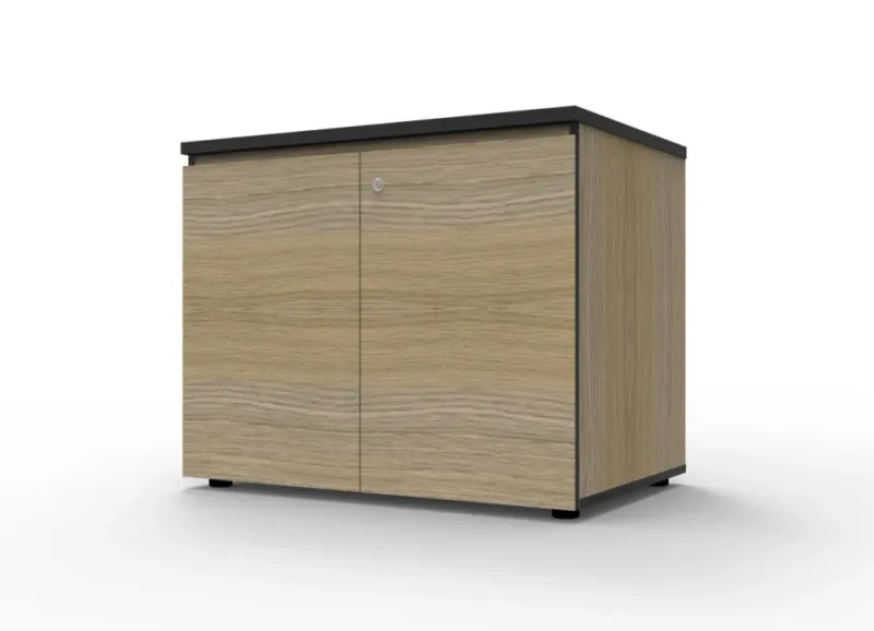 RL Infinity Swing Door Cupboard