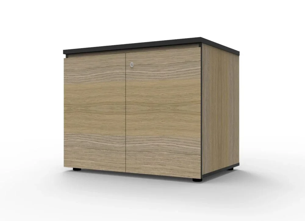 RL Infinity Swing Door Cupboard