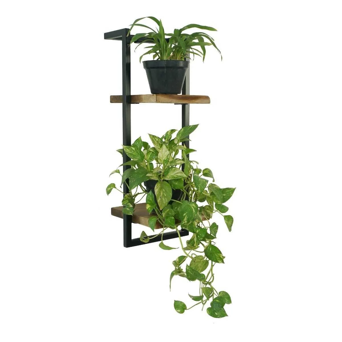 CR Live Edge Solid Timber Metal Frame 2 Tier Shelf