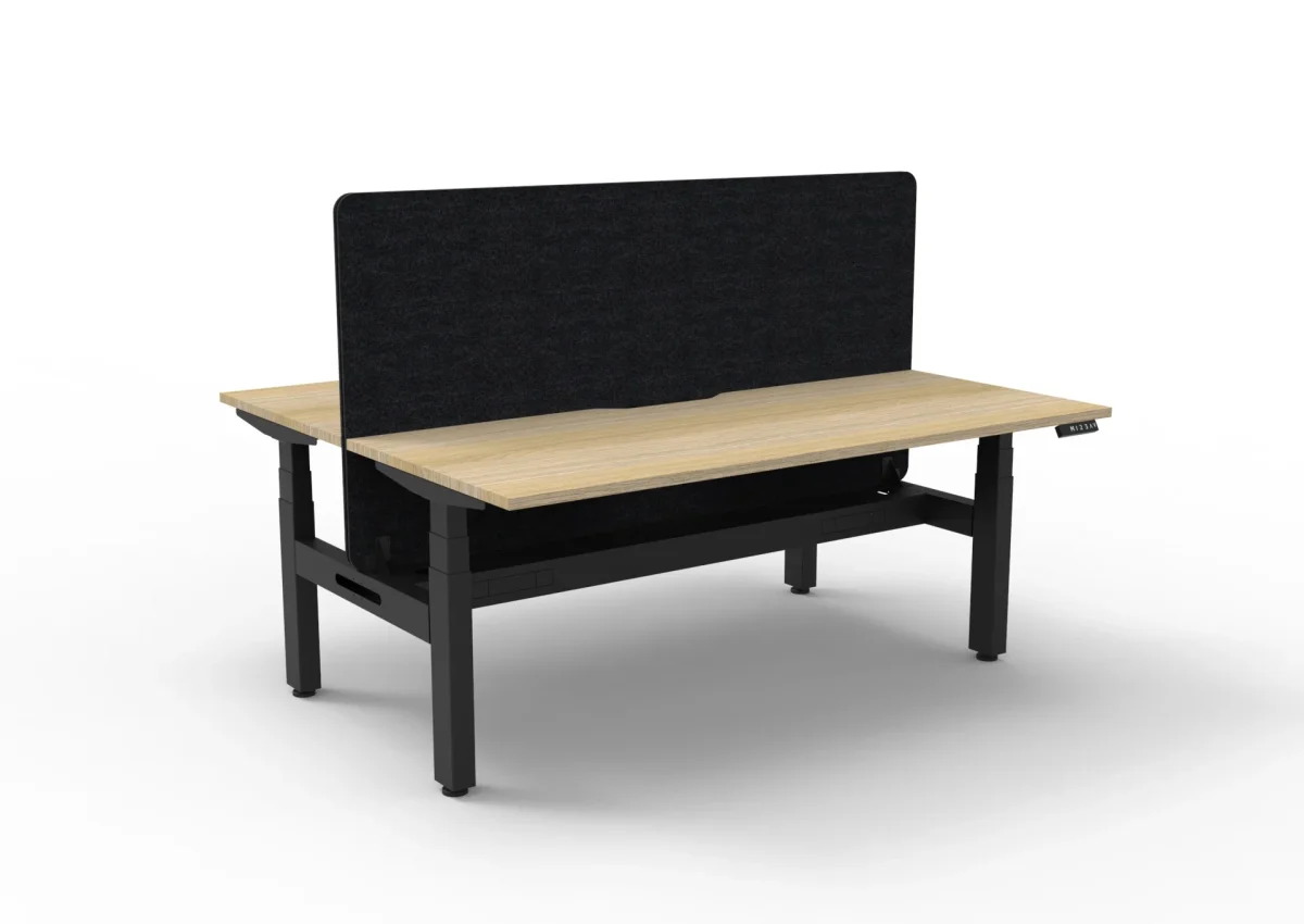 RL Boost+ Height Adjustable 2 User Back to Back Workstation with Black Eco Panel Screen