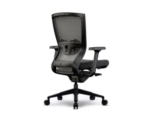 OL Lucca Mesh Back Task Chair thumbnail 4