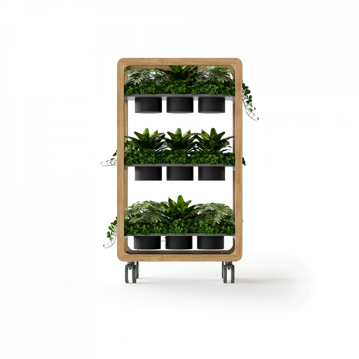 OL Rover 3 Tier Mobile Planter