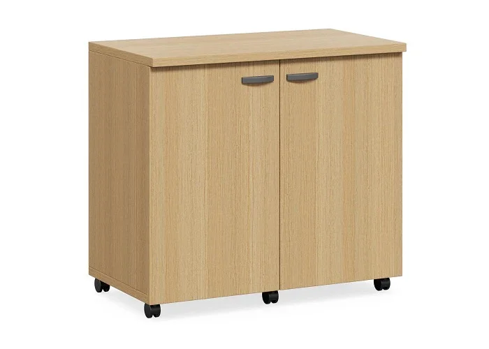 DD CC Plus Swing Door Mobile Utility Cupboard