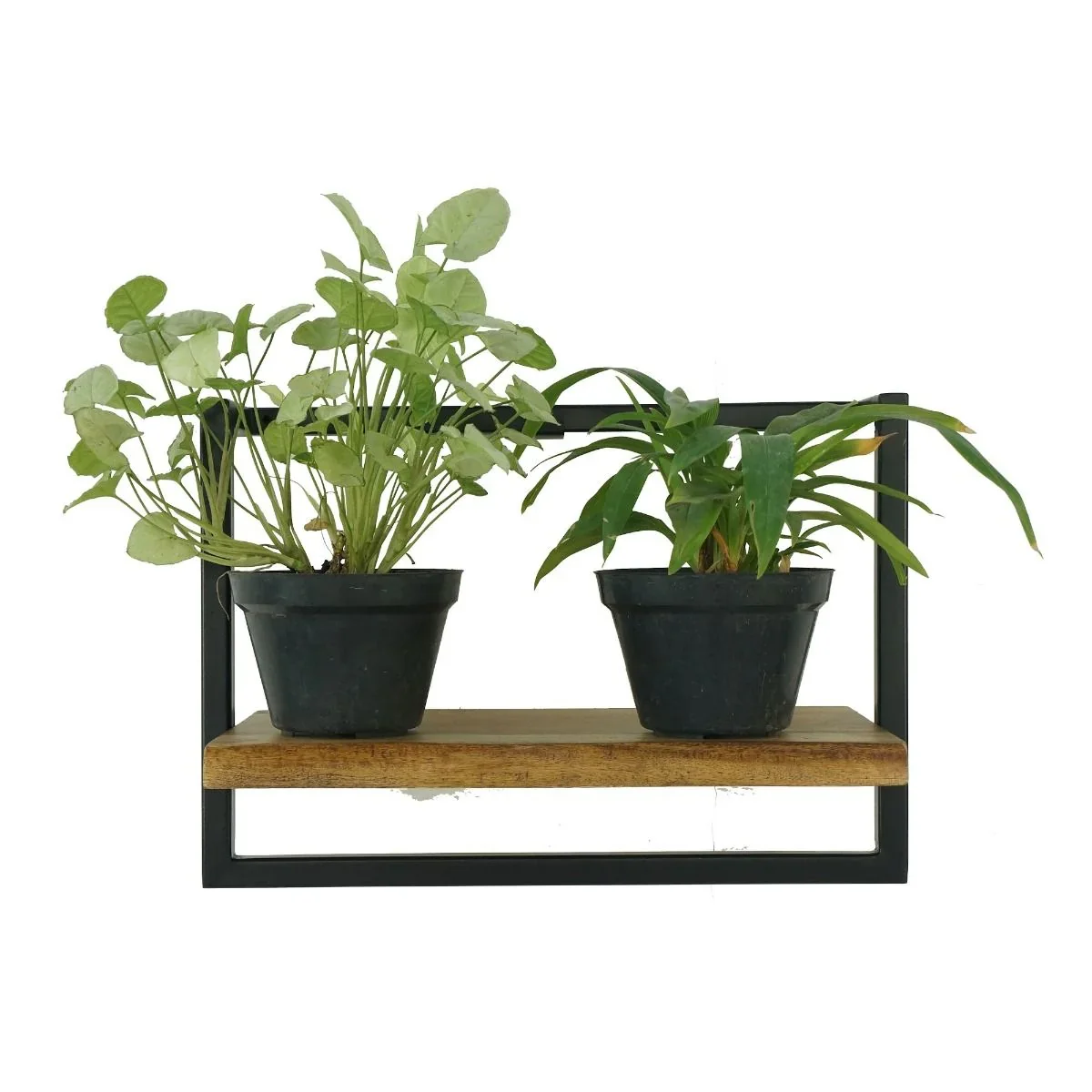 CR Live Edge Shelf 45 cm