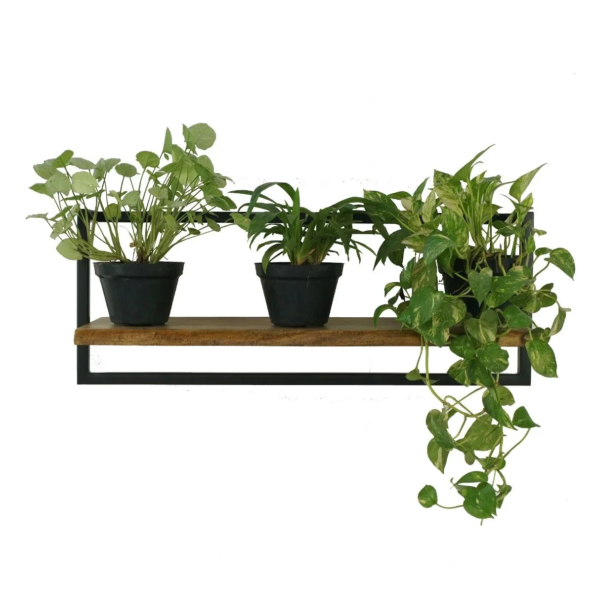 CR Live Edge Shelf 75 cm