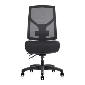 RL Gust Mesh Back Ergonomic Task Chair thumbnail 1