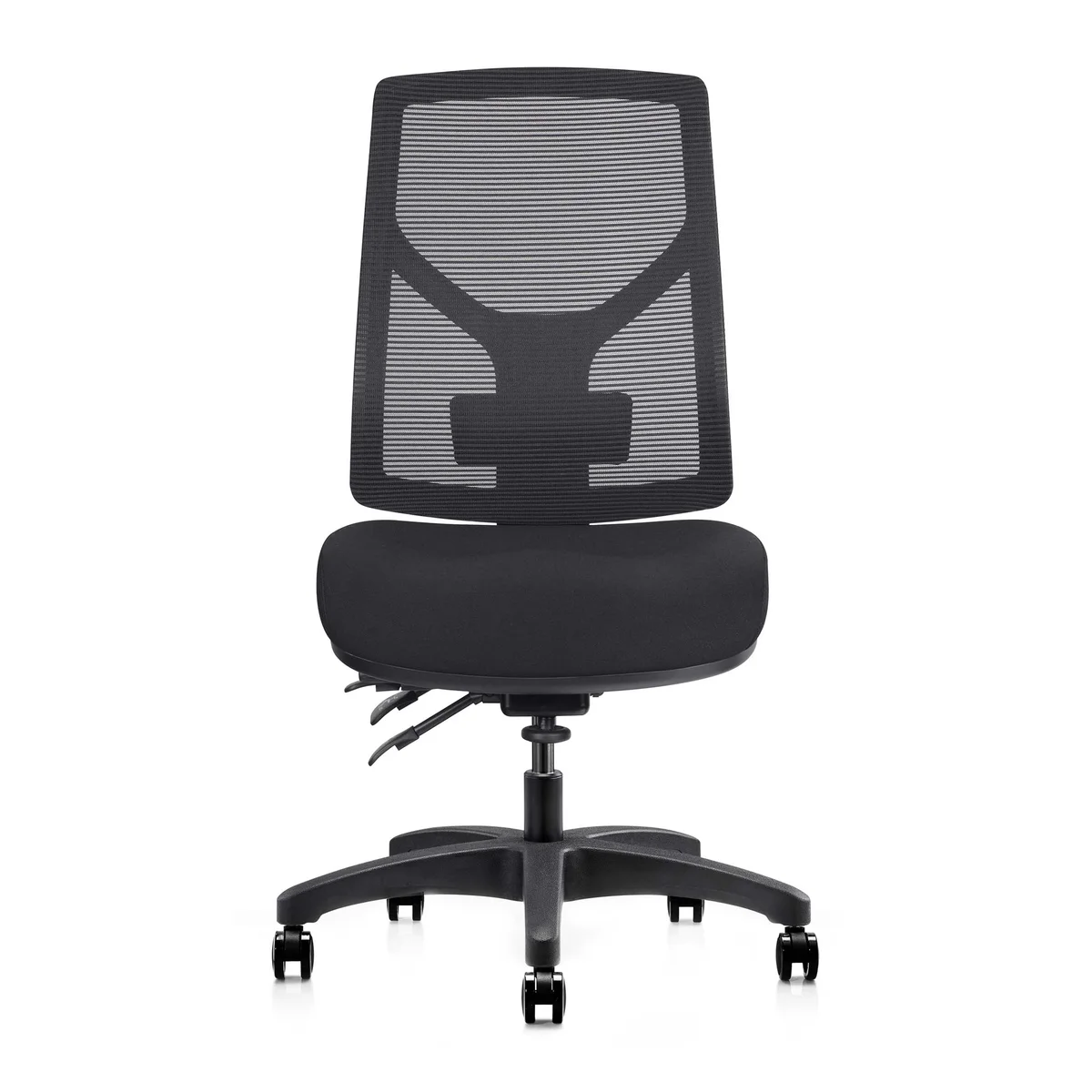 RL Gust Mesh Back Ergonomic Task Chair