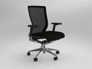 OL Balance Mesh Back Chrome Base Executive Chair thumbnail 1