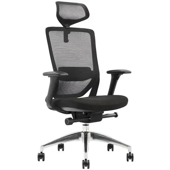 ST Baxter Mesh Back Executive Chair with Headrest