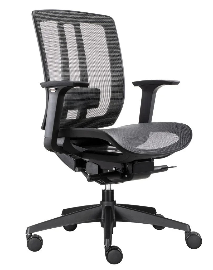 RL Oasis Mesh Back Task Chair