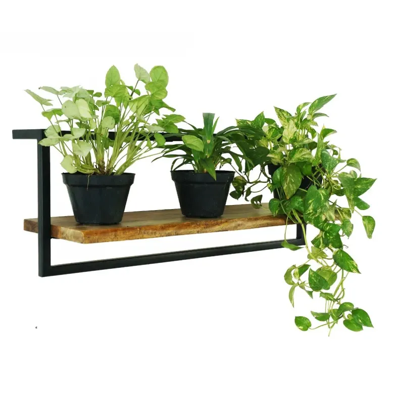 CR Live Edge Shelf 75 cm