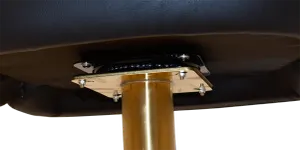 EZ GAMING STOOL TRUMP DISC BLACK thumbnail 2
