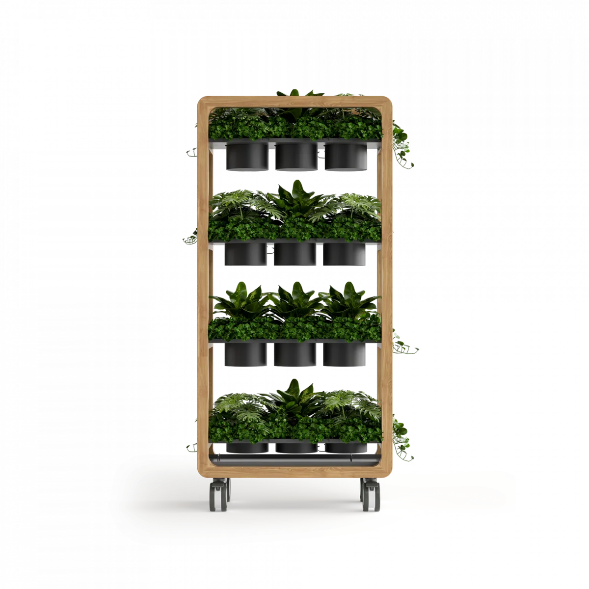 OL Rover 4 Tier Mobile Planter