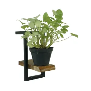 CR Live Edge Shelf 15 cm thumbnail 2
