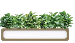 OL Rover Mobile Planter Box