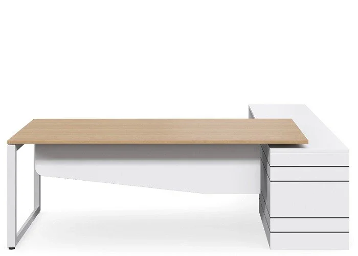 DD Geo Forum Executive Desk