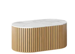 DD Atmos Pill Shape Coffee Table thumbnail 1