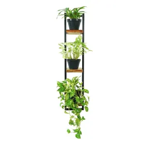 CR Live Edge Solid Timber Metal Frame 3 Tier Shelf thumbnail 2